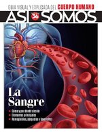 Así Somos - El cuerpo humano